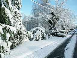 neige2007_11.JPG