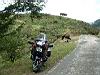 DSCF0237.JPG