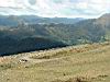 DSCF0259.JPG
